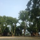 임고초등학교 이미지