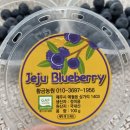 제주(jeju)황금농원