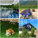 경주더숲관광농원 | 경주 여행 두바퀴로 가는 자동차 내돈내산 카라반 수영장 ATV 후기