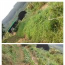 만지농장 이미지