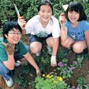 그린아이즈 이미지