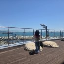 크리스탈 | 부산 송도해상케이블카 예매 할인 크리스탈크루즈 후기