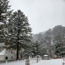 미산고로쇠협동조합
