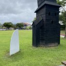 오델리스 이미지