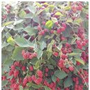 호연농장 이미지