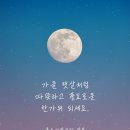 올스마일치과 이미지