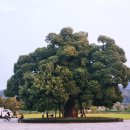 성밖숲정보센터 이미지