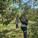 석곡초 농생명산업 진로체험학습 실시[미래교육신문] 이미지