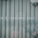 묘화꽃 이미지