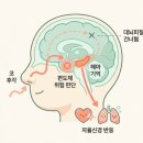 (주)해마로 | 아이 향 거부, 까다로움이 아니에요 — 좋은 향과 안전한 향의 차이 4가지