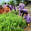 순창군농업기술센터 이미지