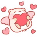 칠곡종합동물병원 이미지