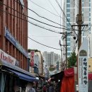 수정애견미용실 | 푸들 미용 스타일 강아지 부산 애견미용실 개운한날 내돈내산