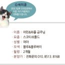 와플캣