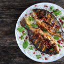 달콤피시 이미지