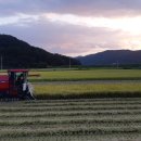 진옥농장 이미지