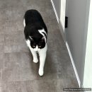 함께냥 평택점 이미지