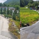 대강면경로당 이미지