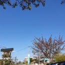 GS25 강화한옥점 이미지