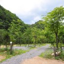 생곡리 미약골 | 오랜만에 캠핑을 다녀온 [동홍천 미약골캠핑타운]