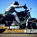 맛터식당 이미지