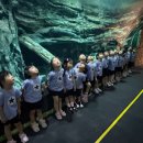 7월 23일 롯데월드 아쿠아리움에 다녀왔어요 🐟🌈(1) + 소개글, 관람사진 이미지