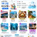 아이랑 둘이 급떠난 부산 1박2일 뚜벅이 여행코스 🚄