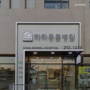 하하 동물병원 이미지