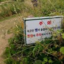 약방펜션민박