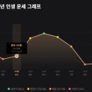 용신23 | [내돈내산] 운세위키 인생흐름(대운) 분석 구매 후기