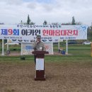 시민체육공원 축구장 Daum카페