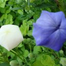 천은농장 이미지