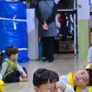 용인대 명성 태권도 이미지