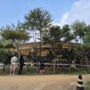 인천남동승마클럽 이미지