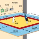 조준호 조준현 와와유도장 이미지