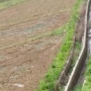 안곡농장 이미지