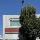 휘핑디에그 이미지