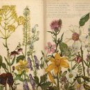 크레인존 이미지