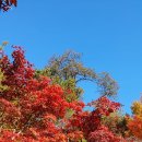 중랑구 자원재활용 선별센타 이미지