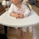 하이세탁 | 내돈내산_싸이벡스 레모 올인원 하이체어 9개월 사용 솔직 후기