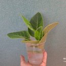 수경빨래방 이미지