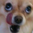 1카 이미지