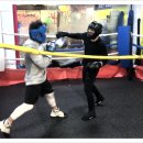 한철민복싱클럽 이미지