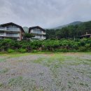 동강힐하우스 이미지