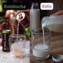 Re: 한약, 식물, 곡물 발효 결정적 효과!! 2024 리뷰 영향력지수 7.8 이미지