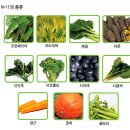 비타민온누리약국 이미지