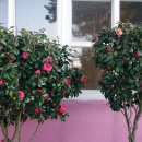 김녕초등학교 동복분교 이미지