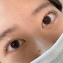 아이다속눈썹 | 속눈썹 유지력이 엄청난 아이다속눈썹 재방문 내돈내산 후기