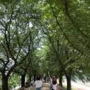 여자보건진료소 | [안동가볼만한곳] 하회마을·월영교·안동찜닭까지 1박2일 여행기