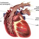 힐스타동물병원 이미지